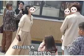 清城调查公司：非婚生子女与婚生子女的法律地位是同等吗